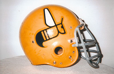 Charlotte Hornets Helmet