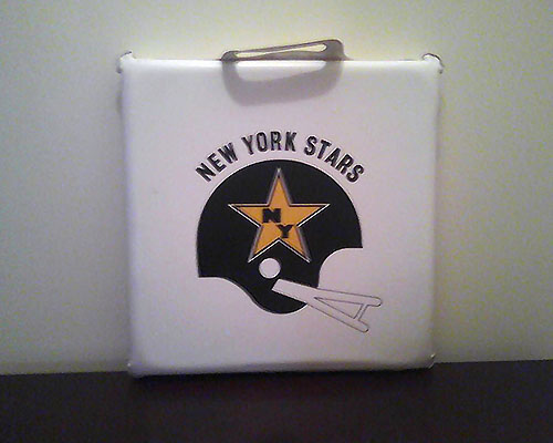 Seat Cushion